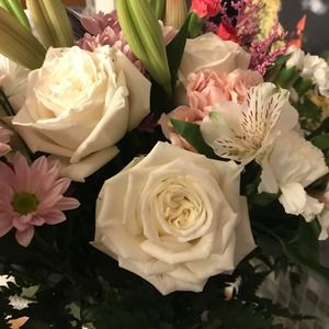 Meet your Posher, Patricia